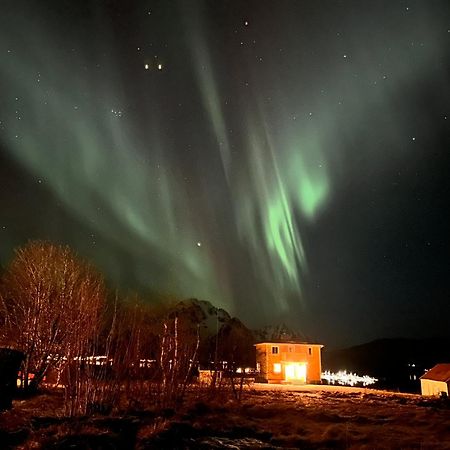 Pederstua, A Classic Fisherman'S Farm House In The Middle Of Lofoten Storeidet エクステリア 写真