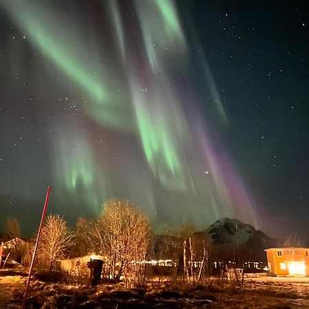 Pederstua, A Classic Fisherman'S Farm House In The Middle Of Lofoten Storeidet エクステリア 写真