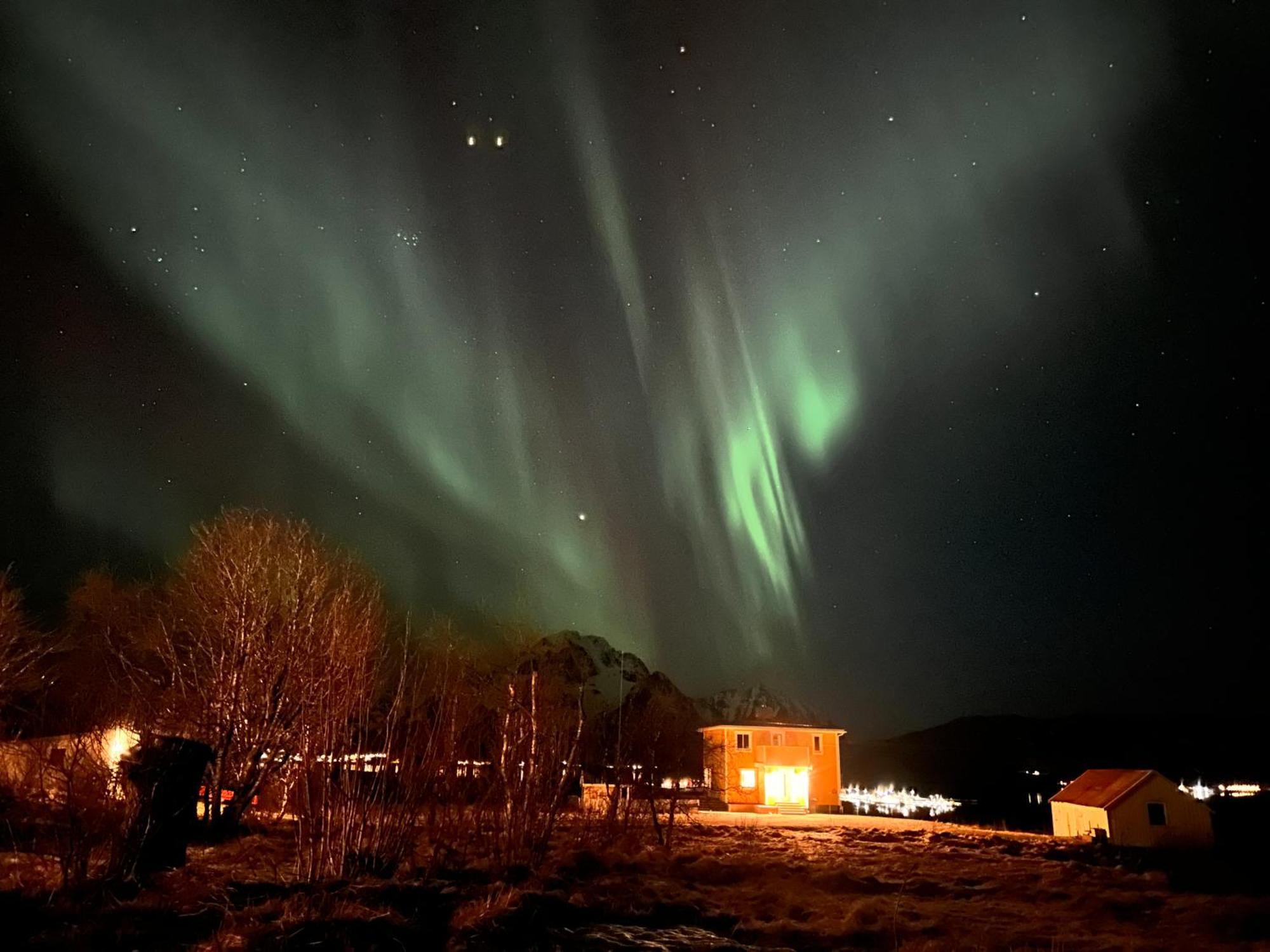 Pederstua, A Classic Fisherman'S Farm House In The Middle Of Lofoten Storeidet エクステリア 写真