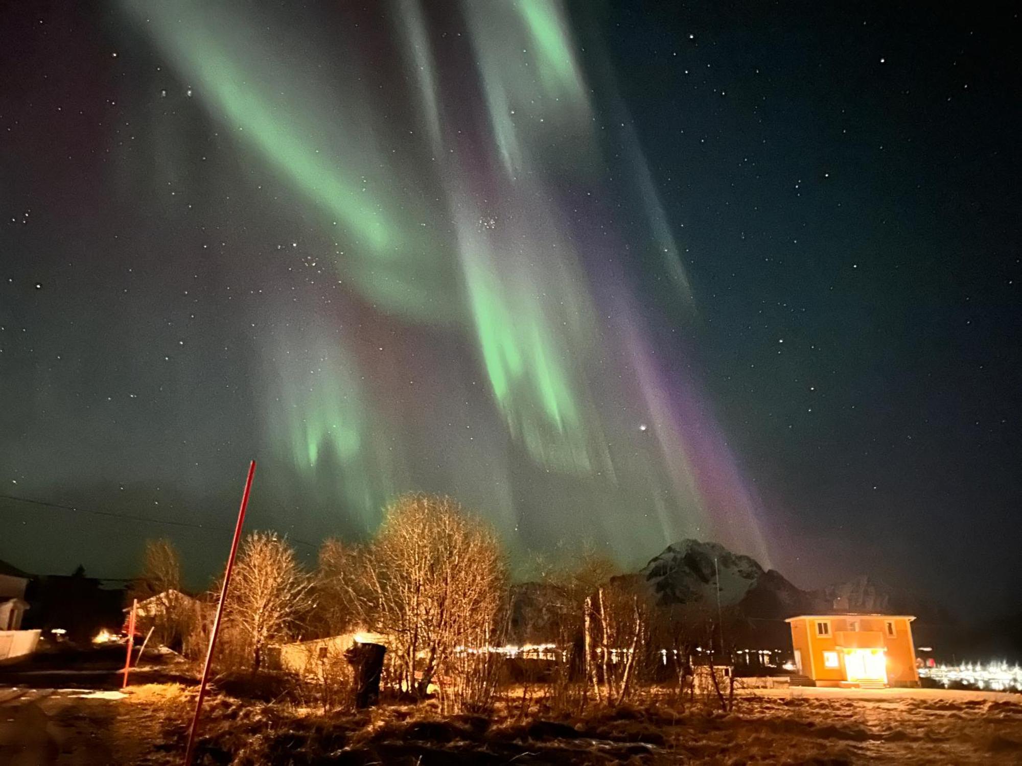 Pederstua, A Classic Fisherman'S Farm House In The Middle Of Lofoten Storeidet エクステリア 写真